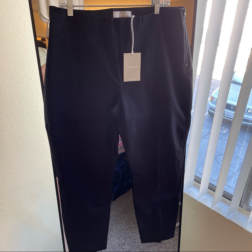 Everlane curvy side zip stretch cotton pant